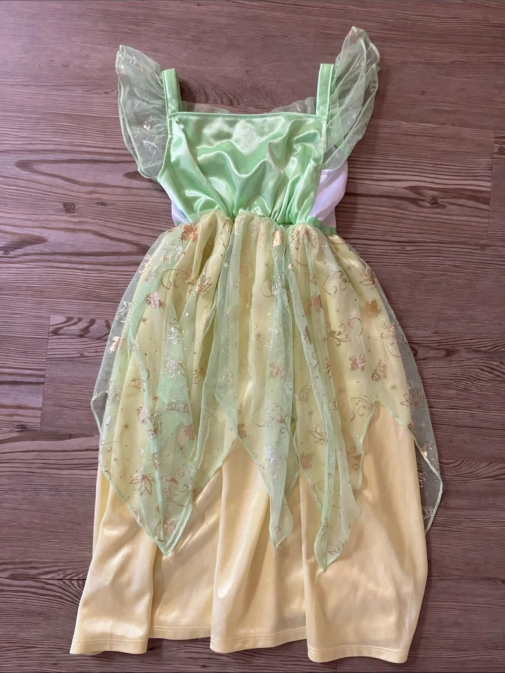 DISNEY Princess & the Frog TIANA fantasy nightgown. Sz 4T